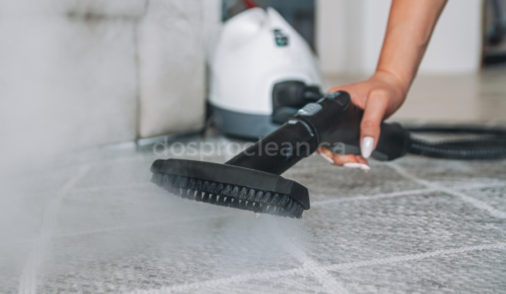 Steam Deep Cleaning Services in Ontario