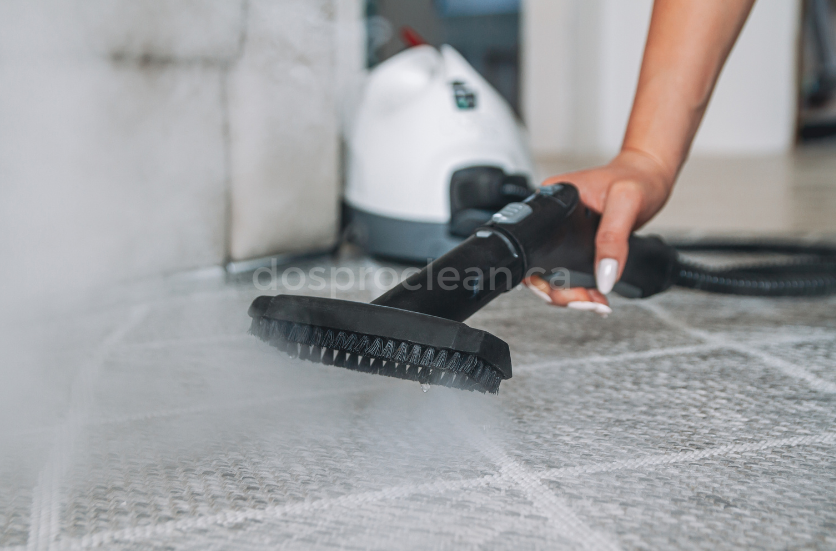 Steam Deep Cleaning Services in Ontario